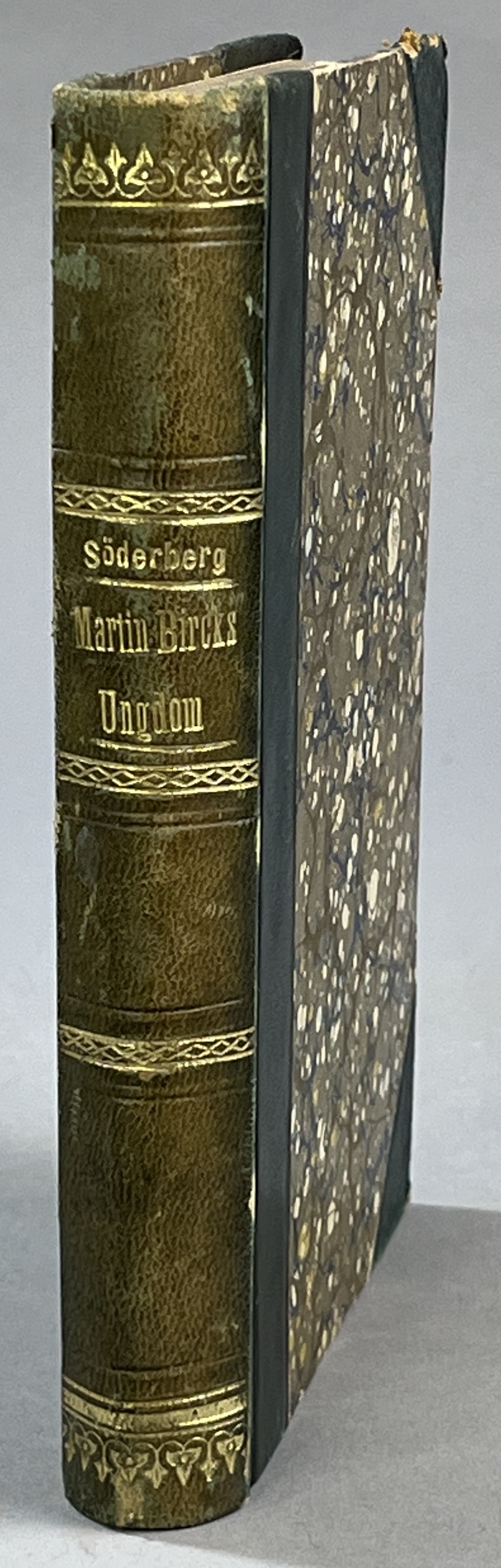 Martin Bircks ungdom. Berättelse. [Utg. av] Albert Bonniers förlag.