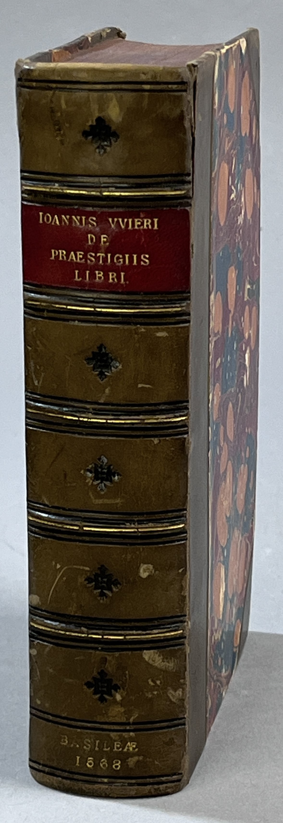 Ioannis VVieri De praestigiis daemonvm, et incantationibus ac ueneficijs Libri sex, aucti et recogniti. Accessit Rerum & uerborum copiosus index.