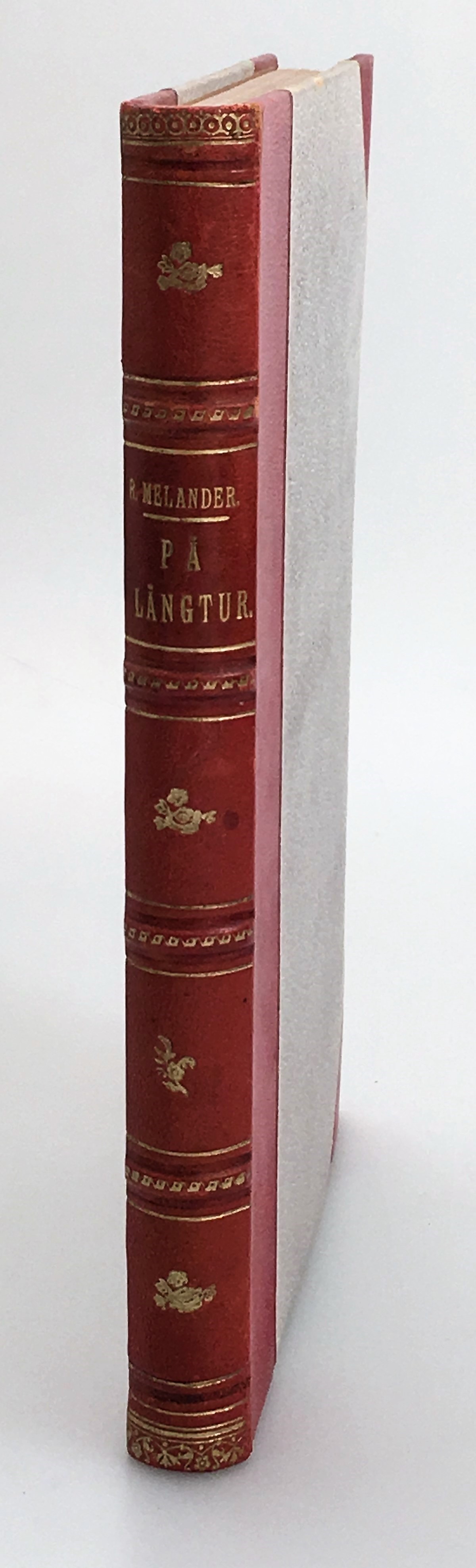 På långtur. Friluftsbilder från korvetten Frejas expedition till Västindien vintern 1895- 96.