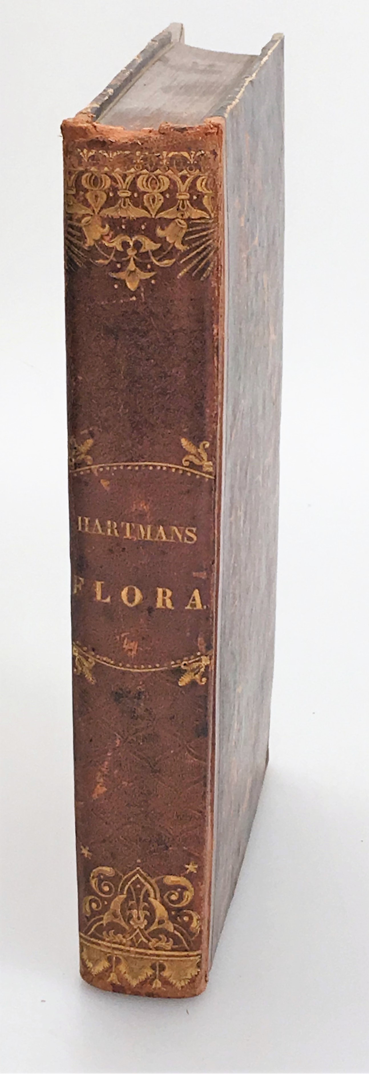 Handbok i Skandinaviens flora, innefattande Sveriges och Norriges vexter, till och med mossorna. Fjerde upplagan, rättad och förökad. Med tvänne taflor.