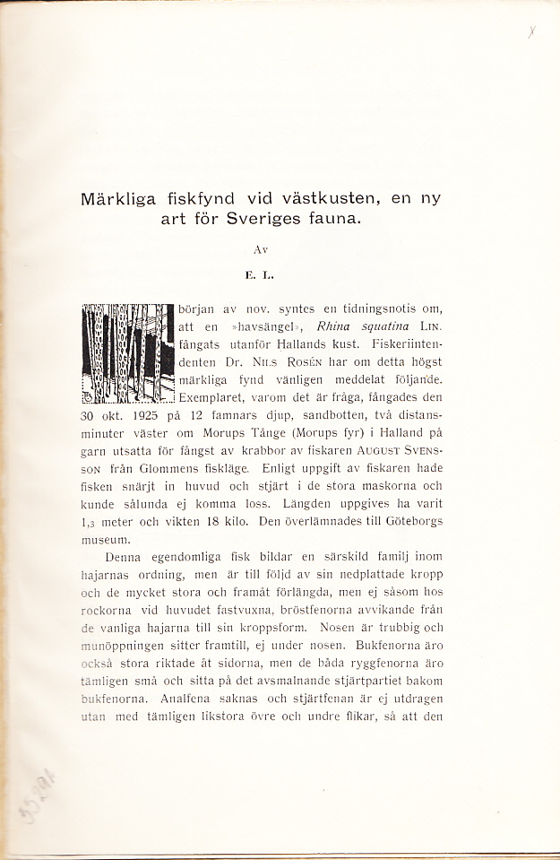 Märkliga fynd vid västkusten, en ny art för Sveriges fauna. Av E. L. [= rubrik].