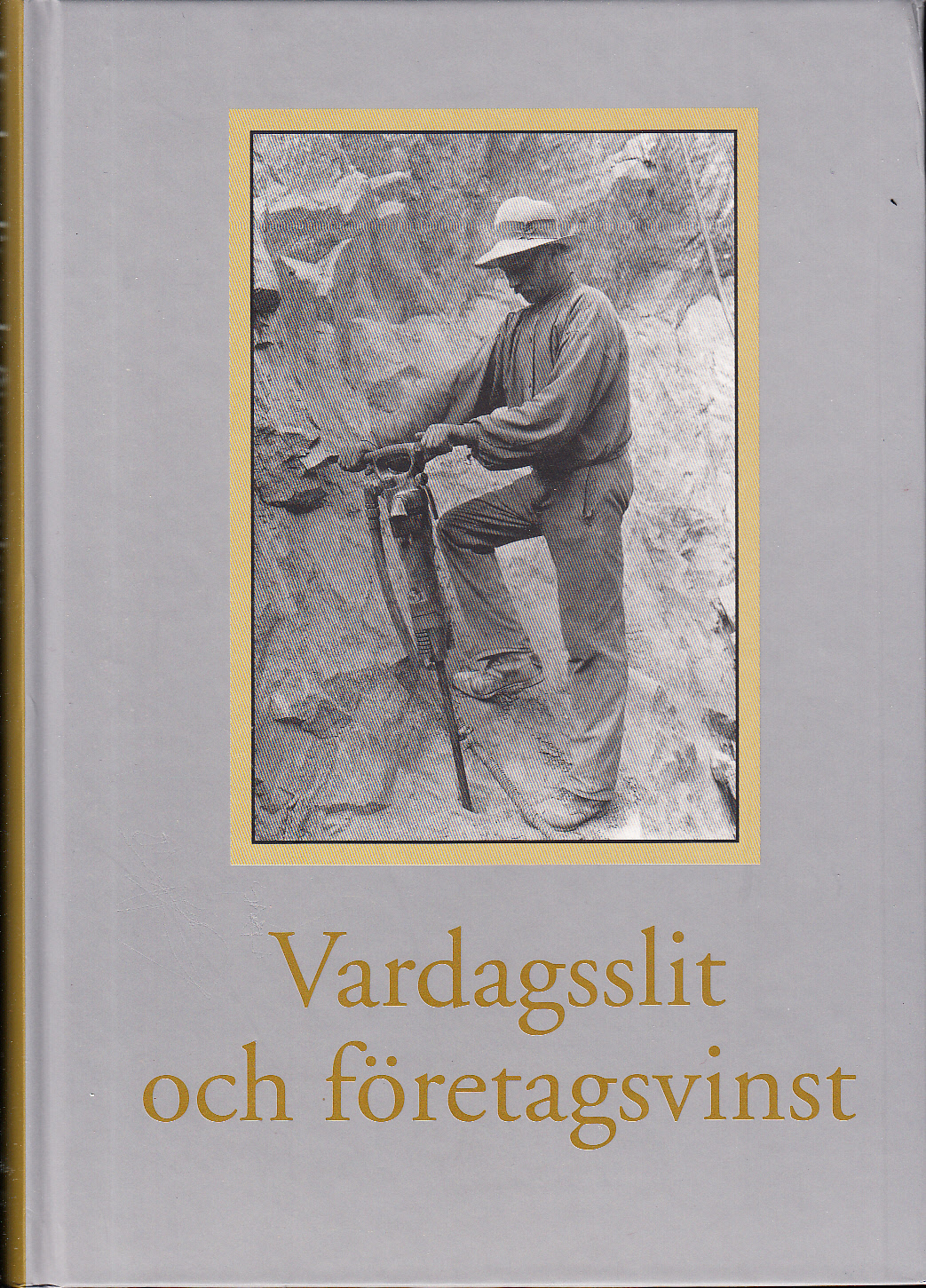 Vardagsslit och företagsvinst. Årsbok för Riksarkivet och Landsarkiven 2002.