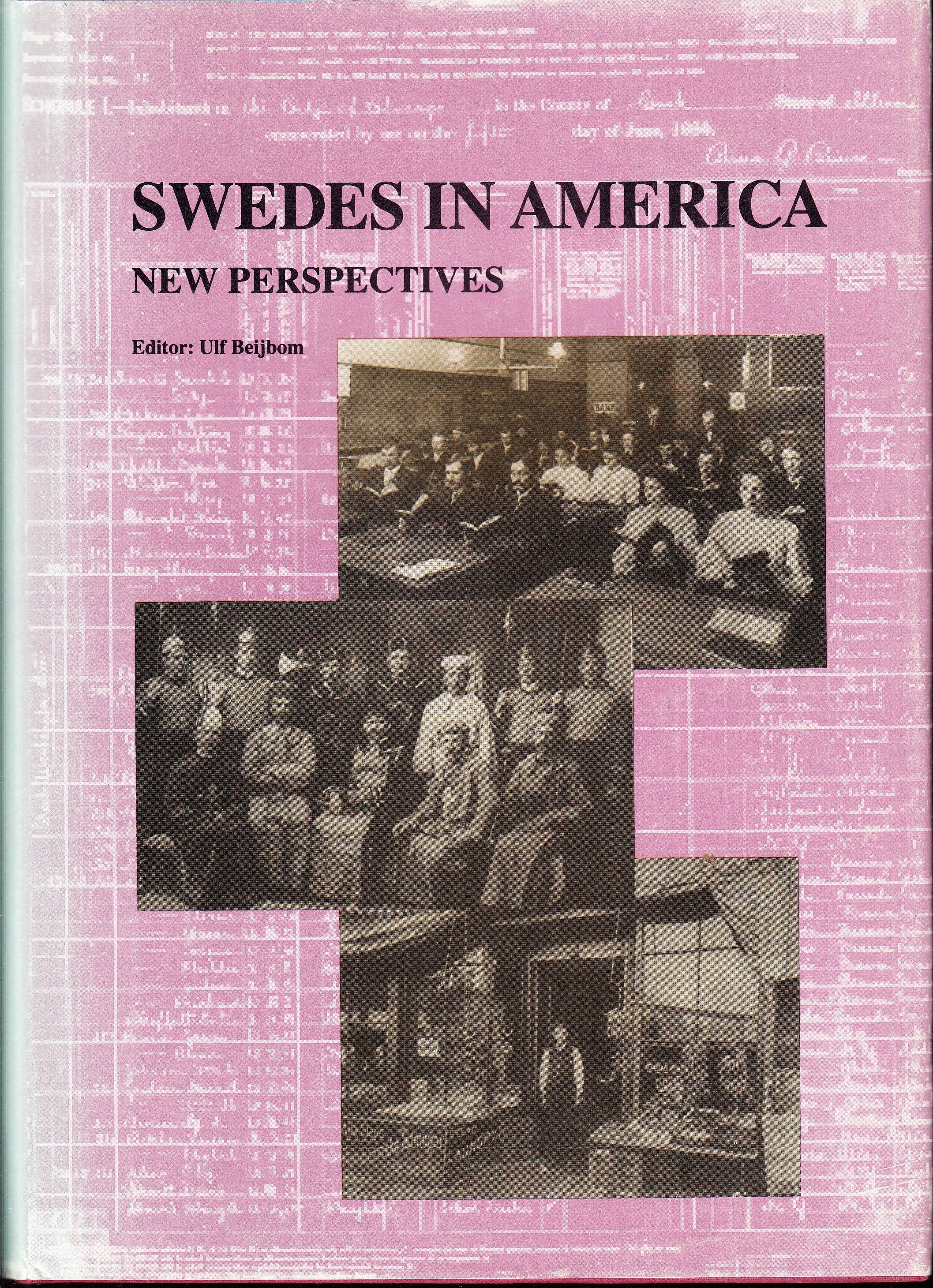 Swedes in America: Intercultural and interethnic perspectives on contemporary research. A report of the Symposium Swedes in America: New Perspectives.