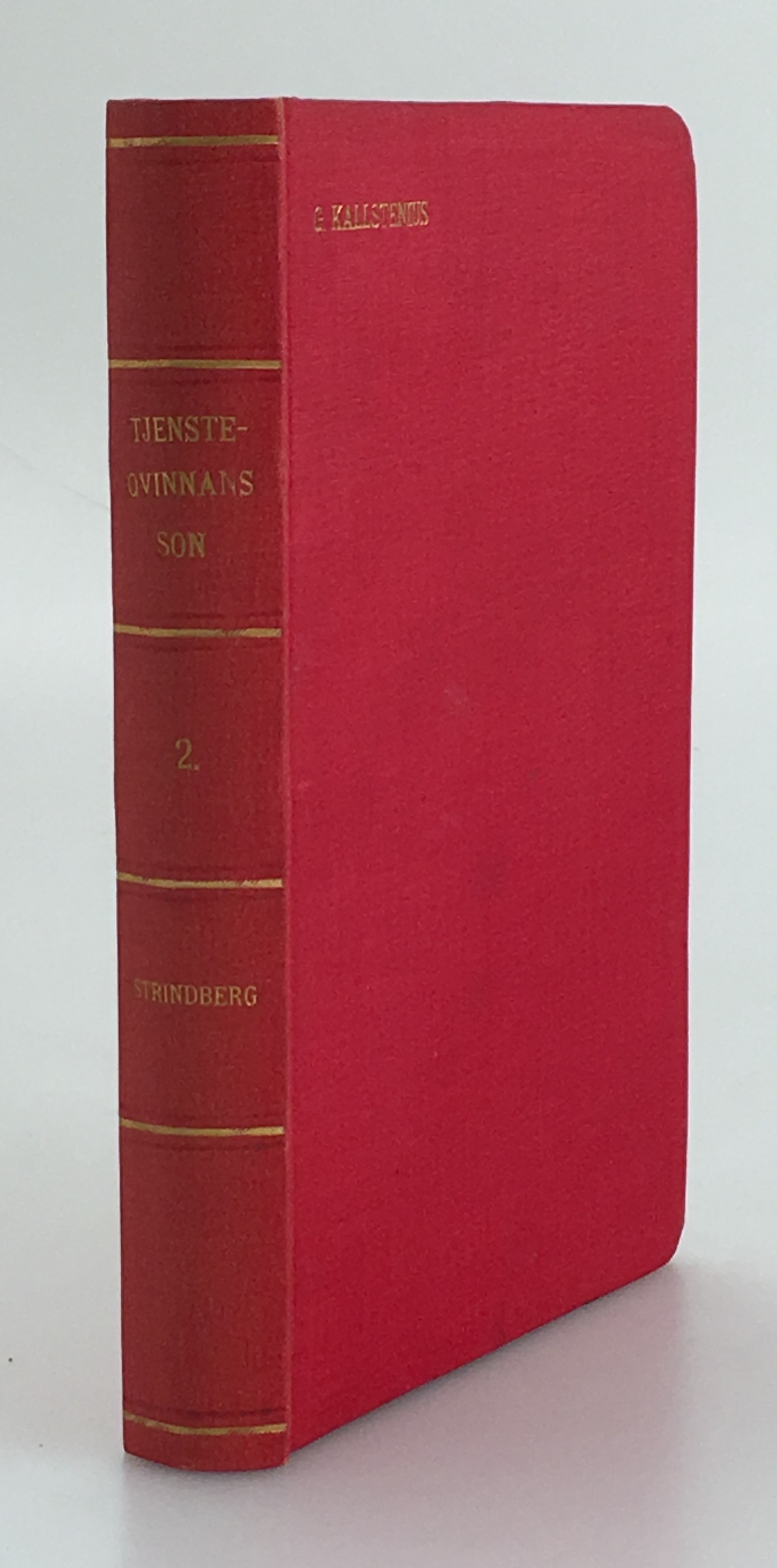 [Tjensteqvinnans son] II. Jäsningstiden. En själs utvecklingshistoria (1867-1872).