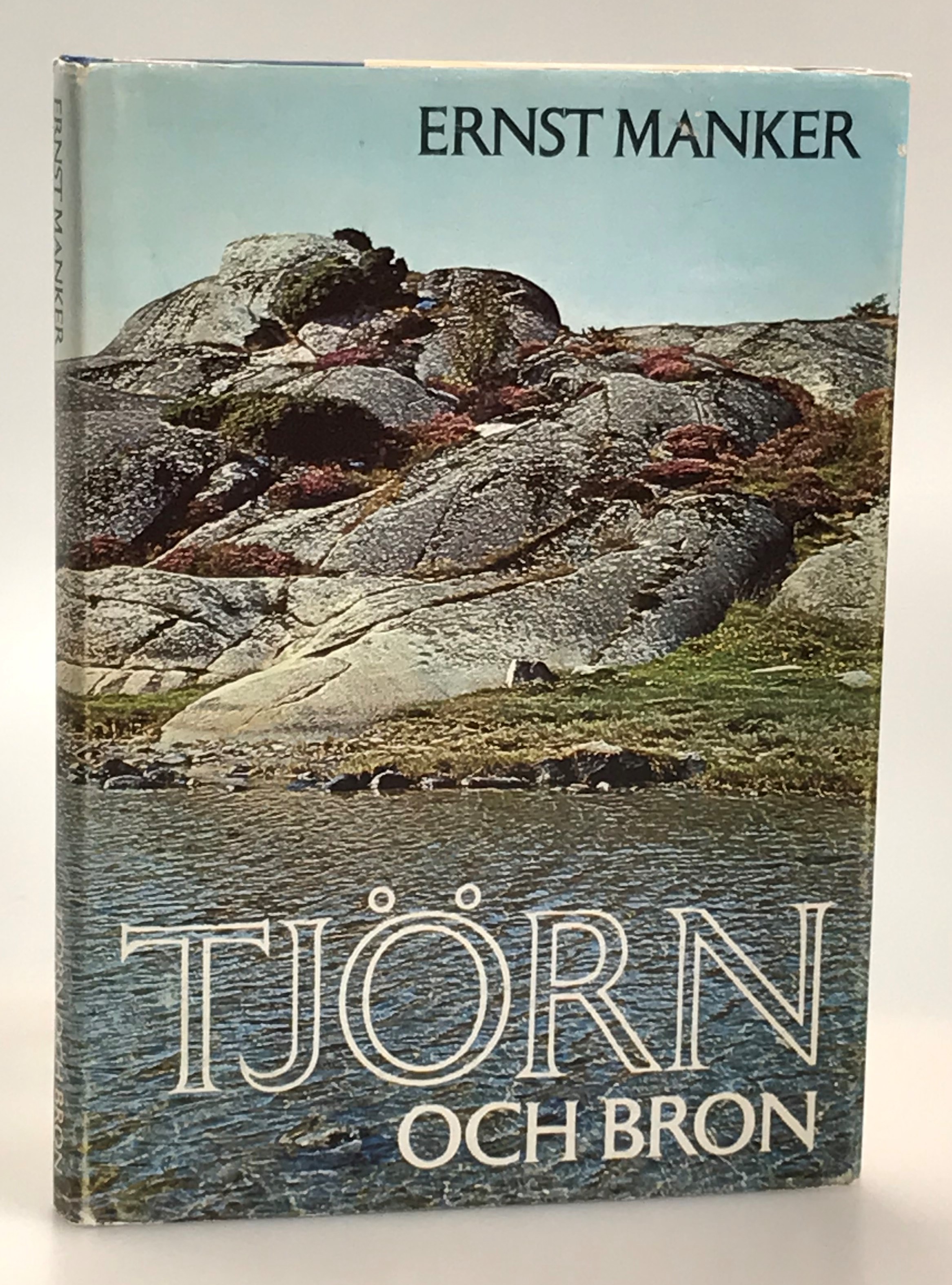 Tjörn och bron. Studier. [Utg. av] LTs förlag.