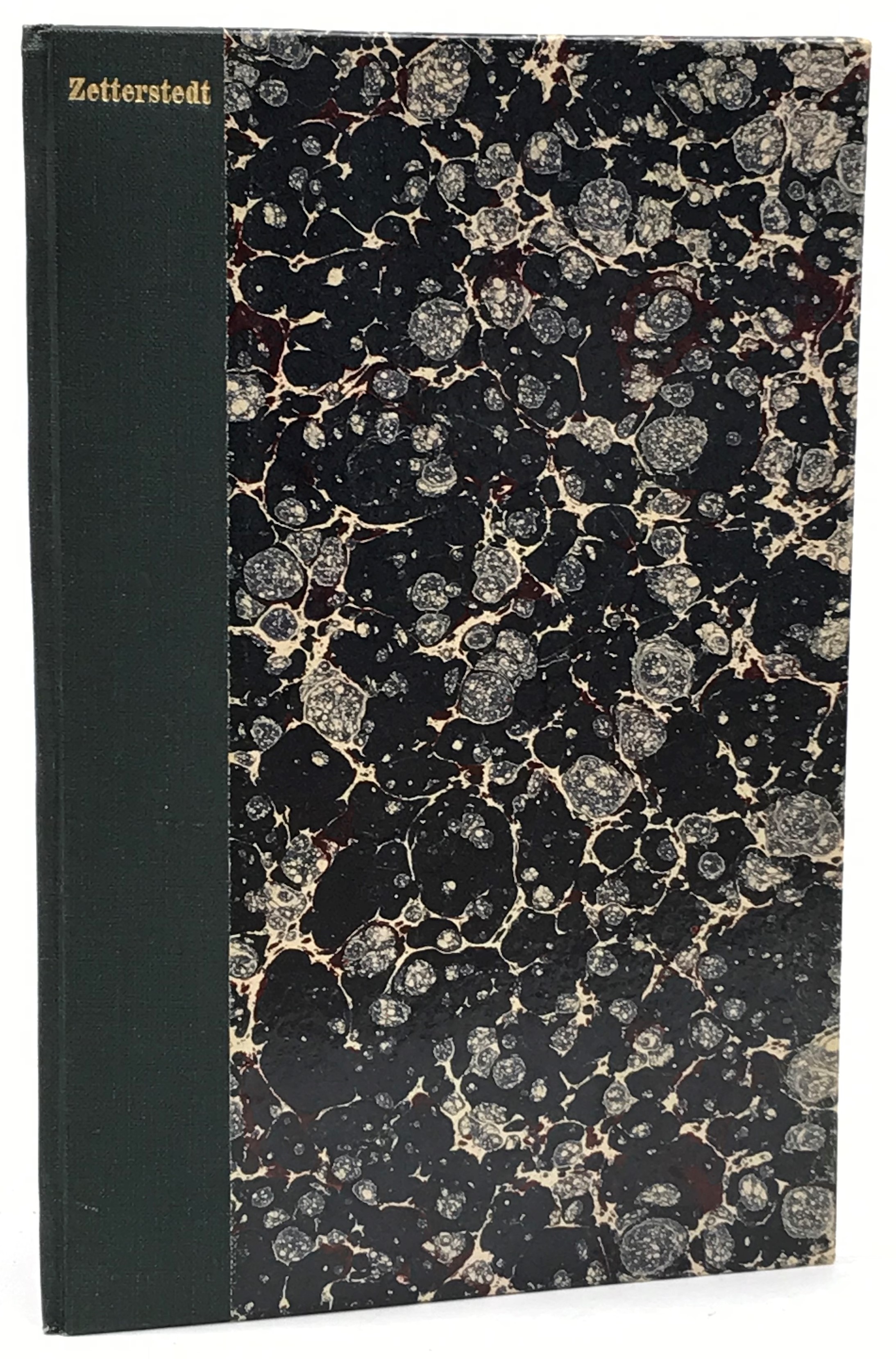 En för Skandinavien ny landsnäcka. Af J.E. Zetterstedt. (Meddeladt den 8 juni 1864) [= rubrik].