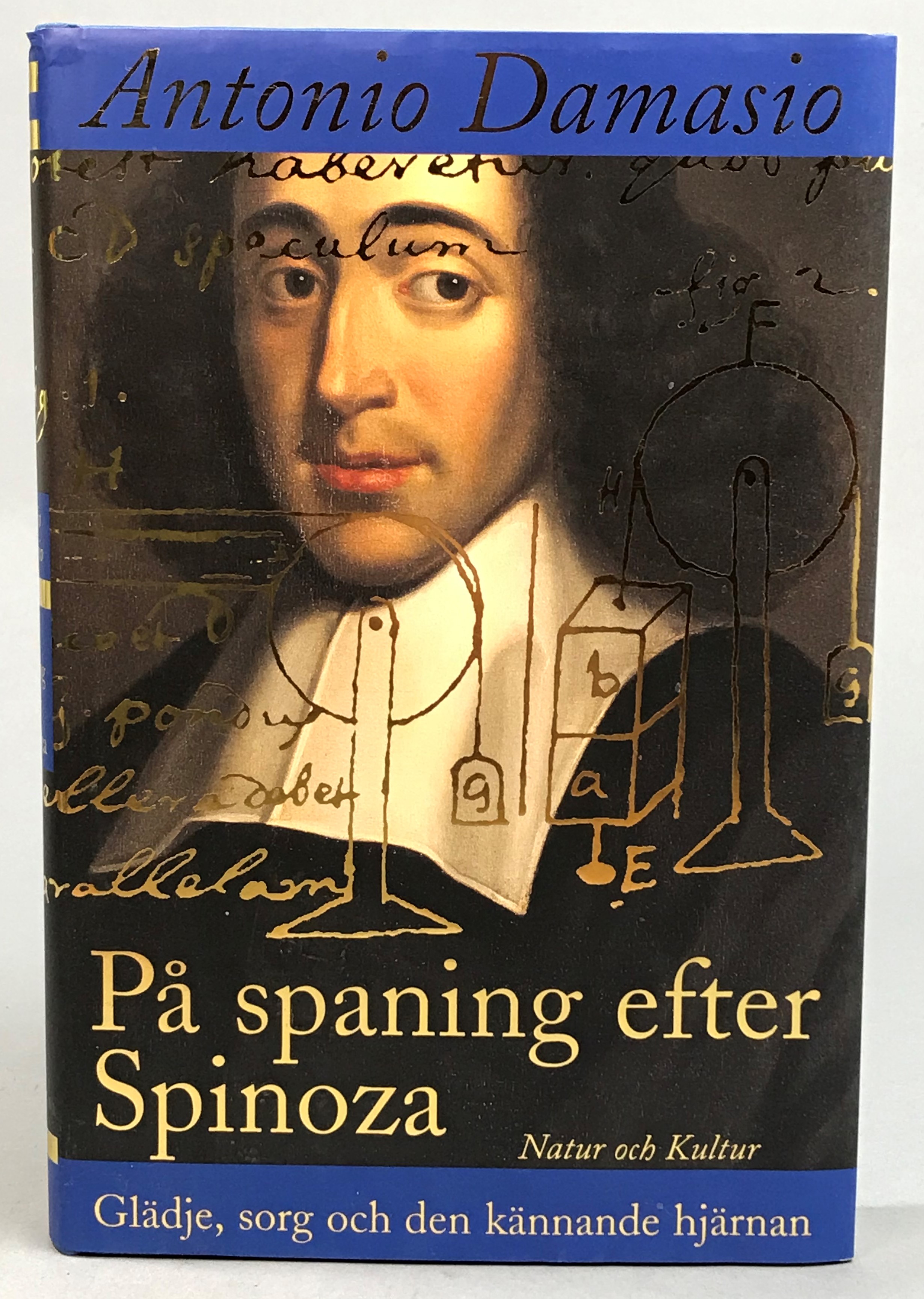 På spaning efter Spinoza. Glädje, sorg och den kännande hjärnan. Översättning: Björn Nilsson. Fackgranskning: Stefan Hansen. [Utg. av] Natur och kultur.