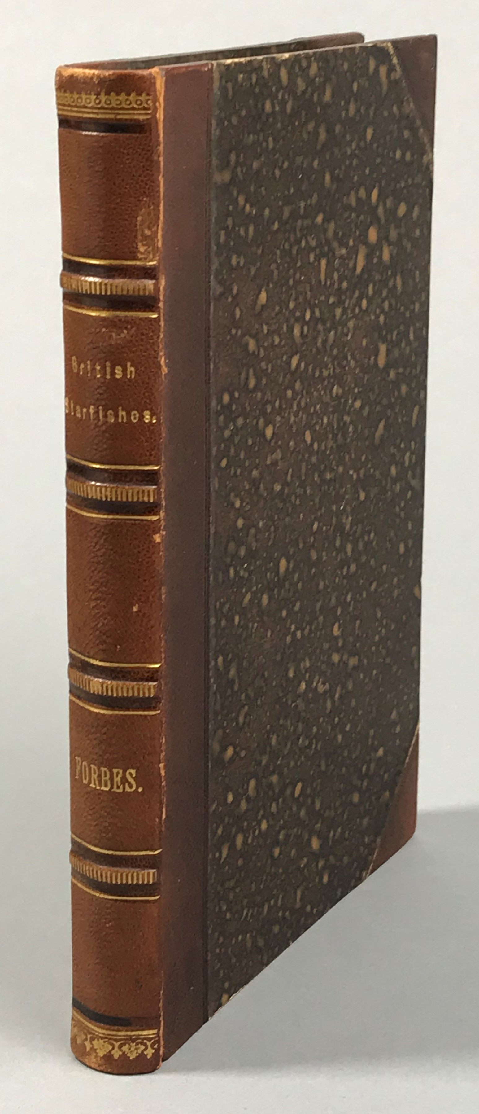 A history of British starfishes, and other animals of the class Echinodermata. Illustrated by woodcuts.
