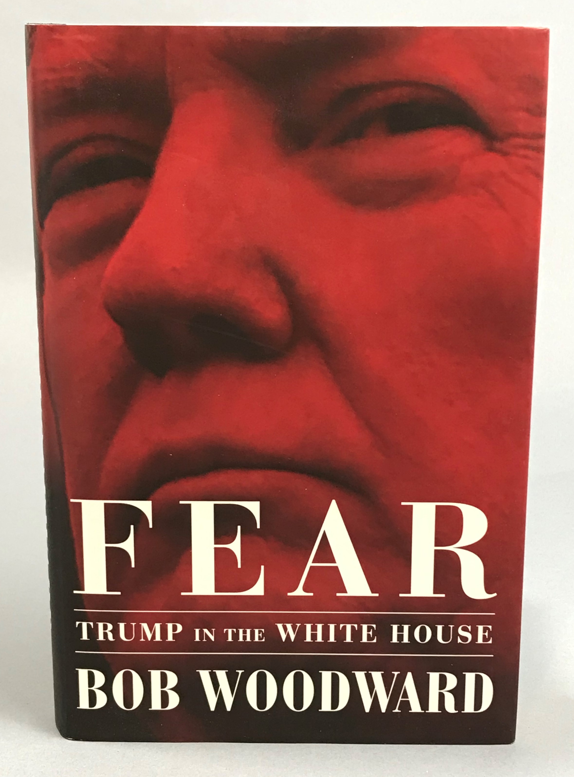 Fear. Trump in the White House.