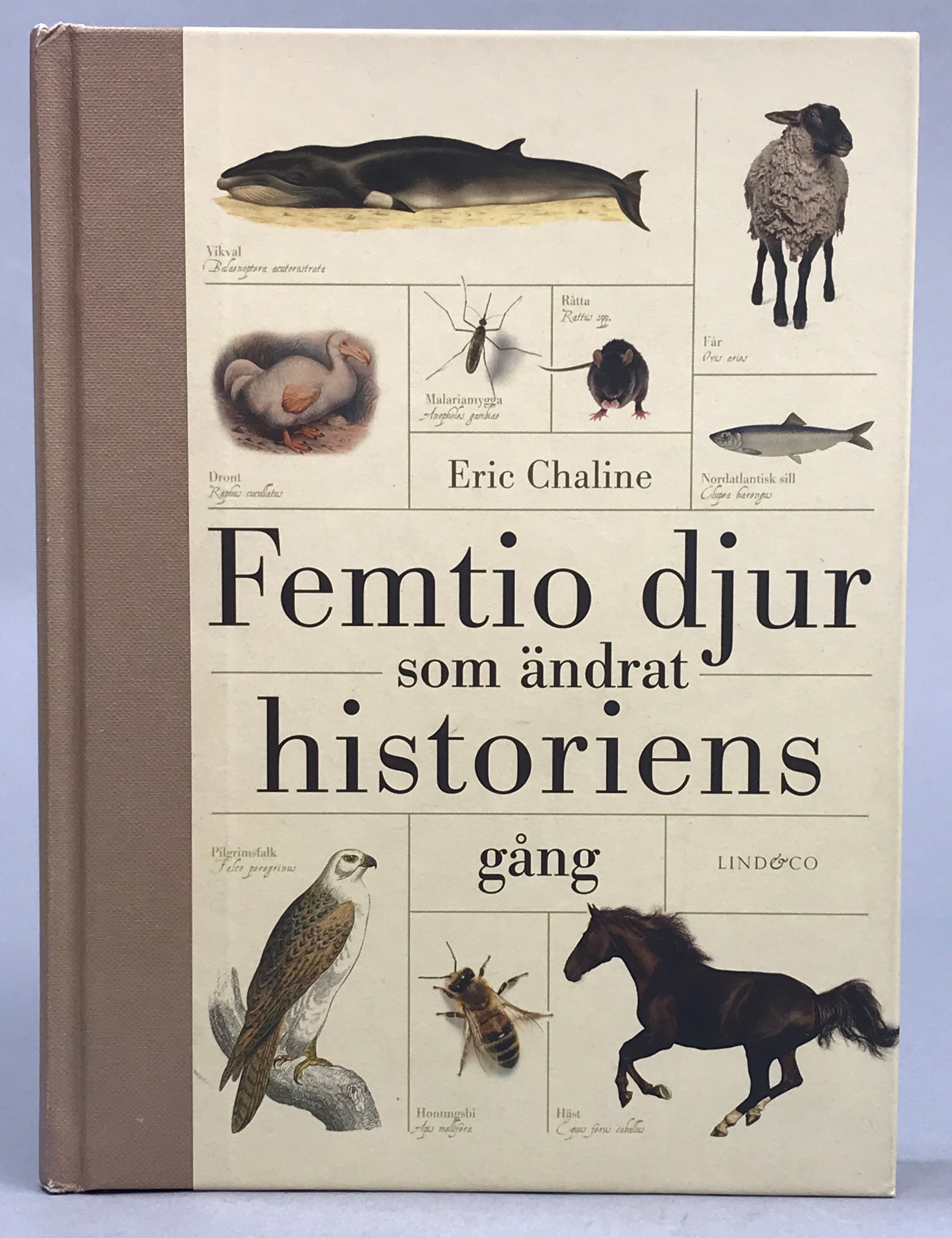 Femtio djur som ändrat historiens gång. Översättning Hans Dalén. [Utg. av] Lind & Co.
