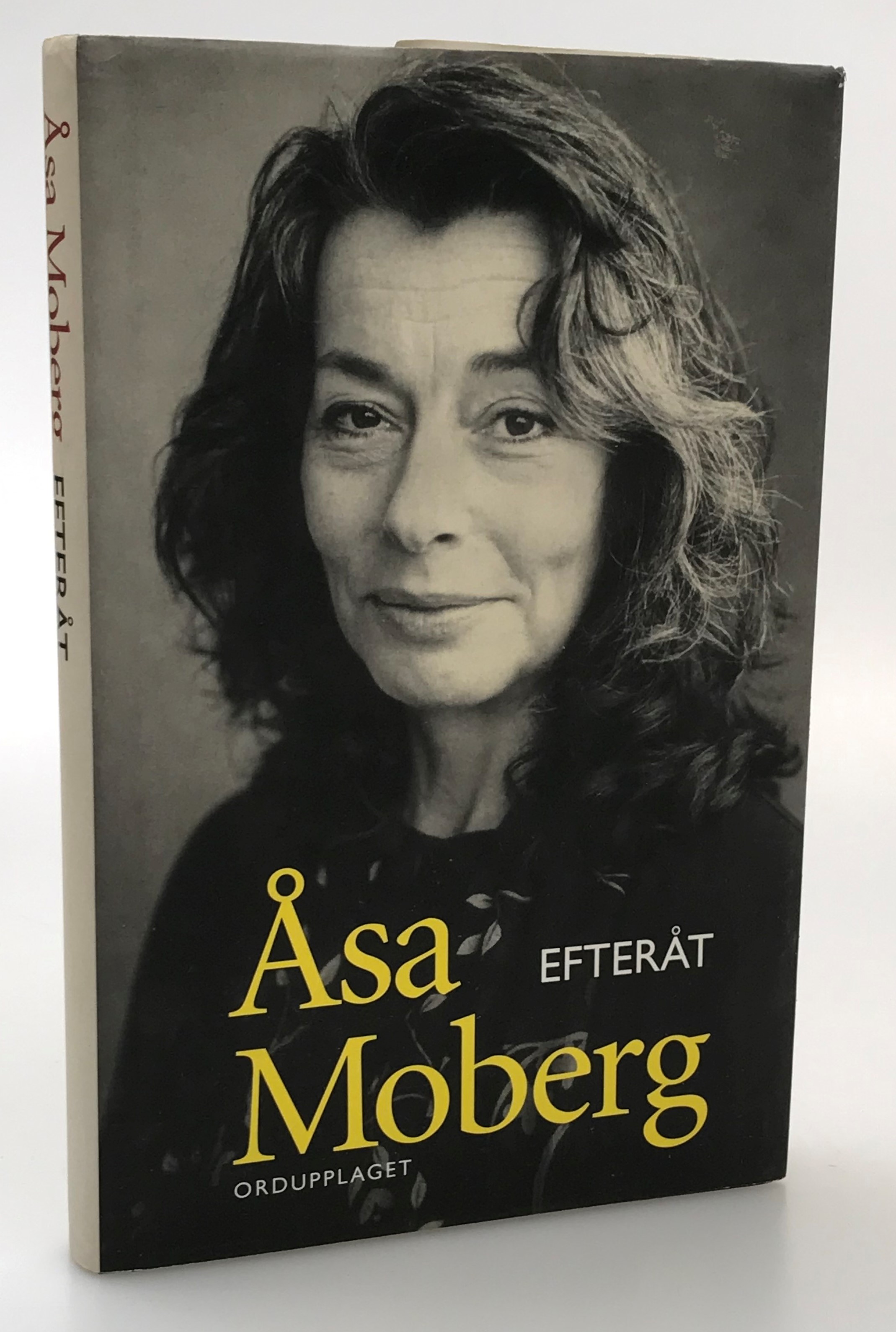 Efteråt. En bok om medierna och världen efter 11 september.