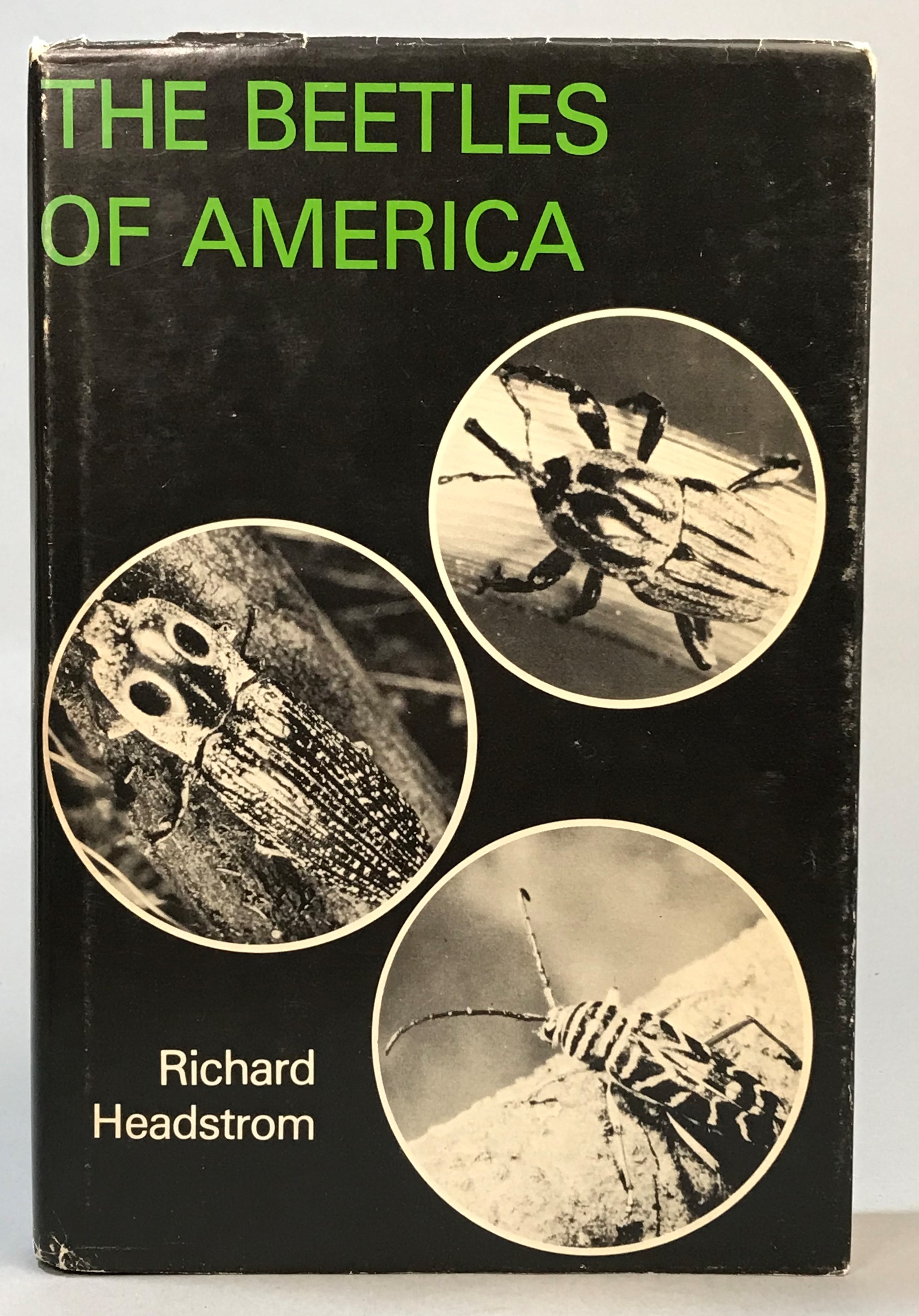 The Beetles of America.