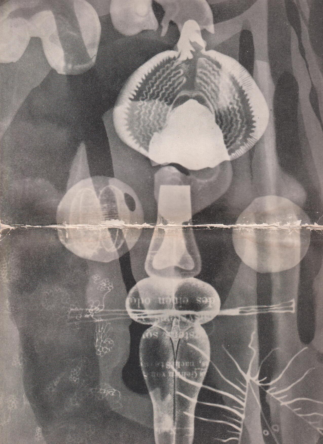 Imaginisterna C.O.Hultén, Gösta Kriland, Anders Österlin. Universitetet 7 -21 mars 1954.