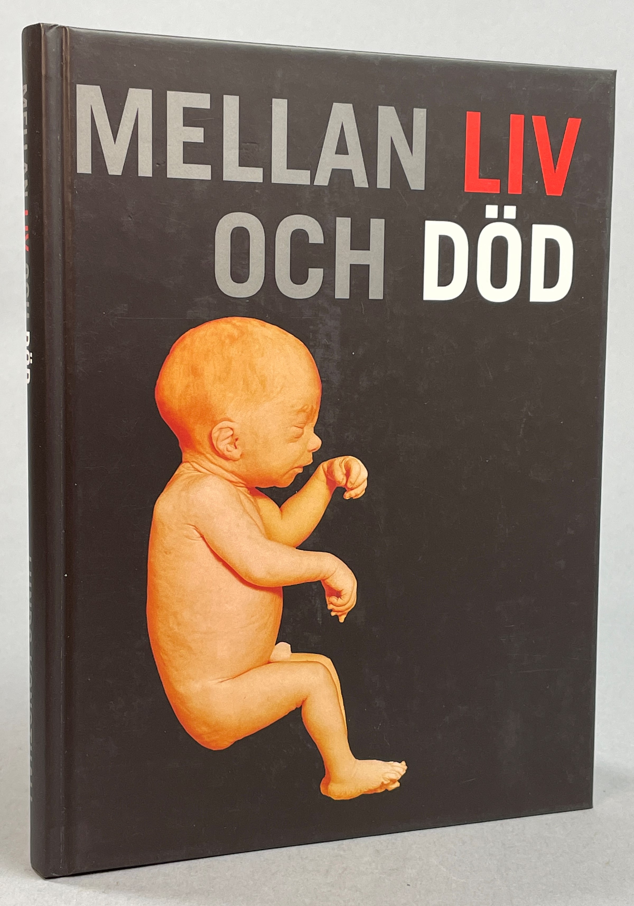 Mellan liv och död. Arkiv och museer i Lund berättar. [Utg. av] Lunds konsthall.