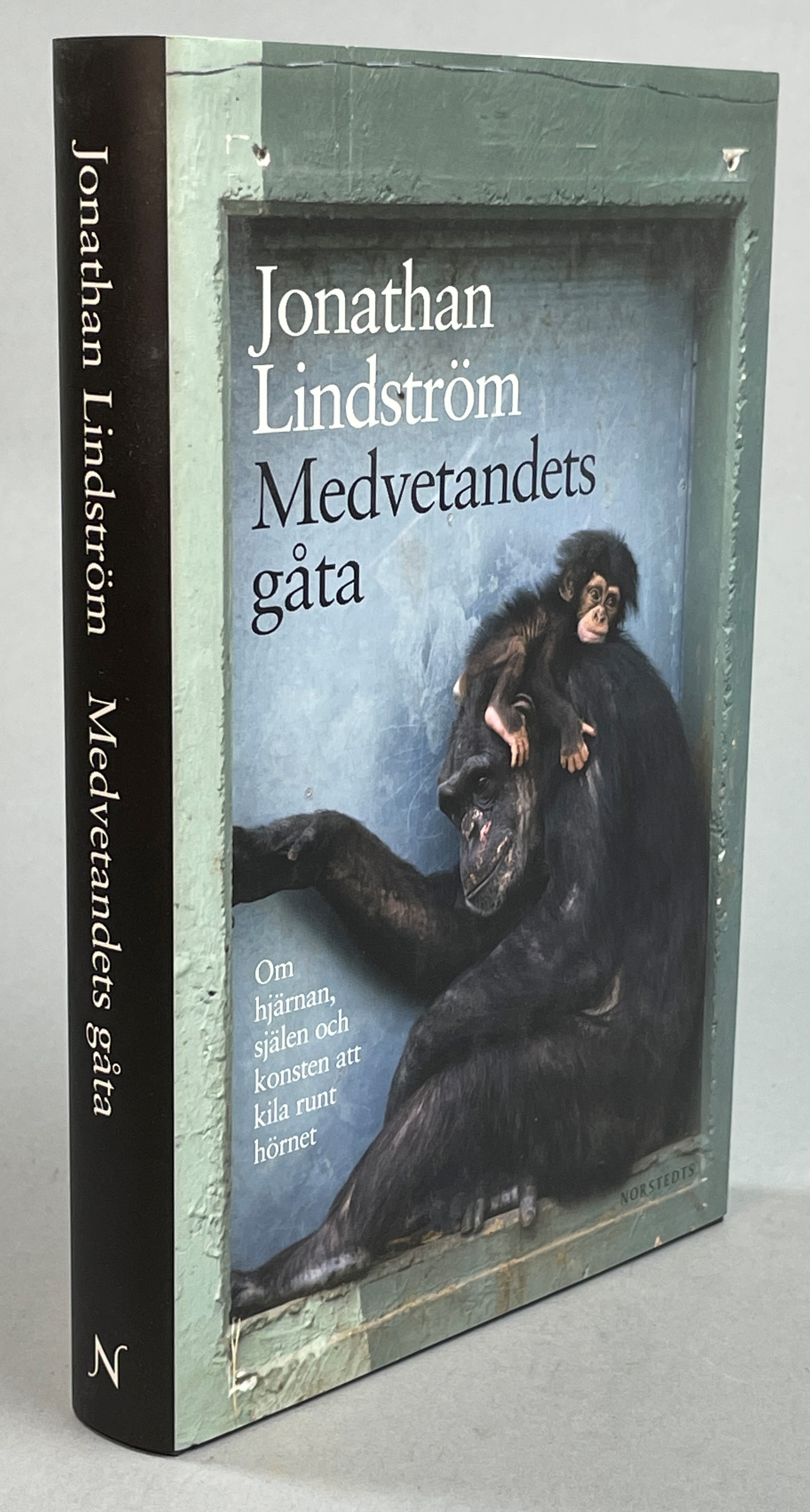 Medvetandets gåta. Om hjärnan, själen och konsten att kila runt hörnet. [Utg. av] Norstedts.