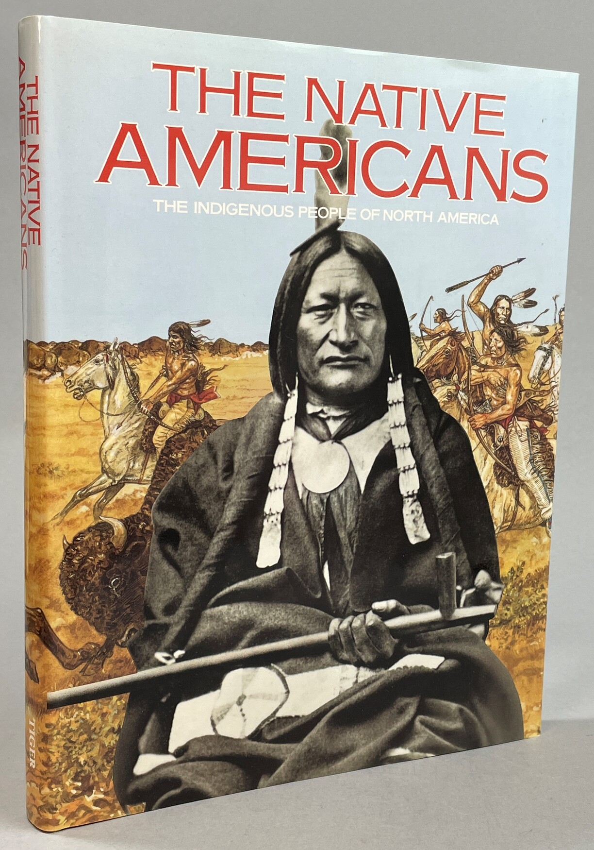 The native Americans. The indigenous people of North America.