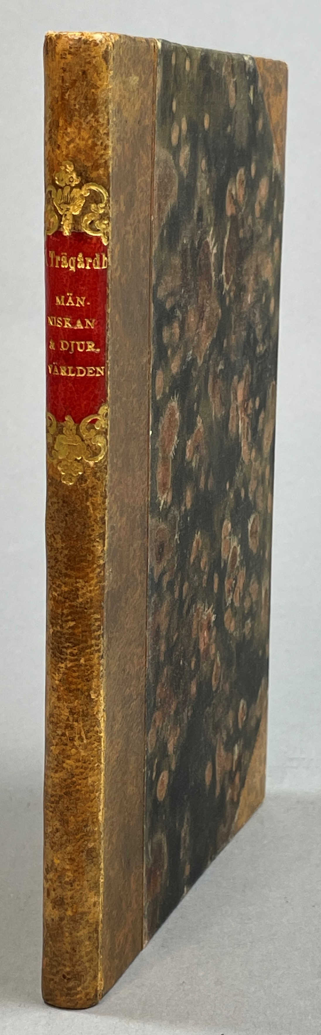 Människan och djurvärlden. Populära skisser. 60 illustrationer. [Utg. av] P.A. Norstedt & Söners förlag.