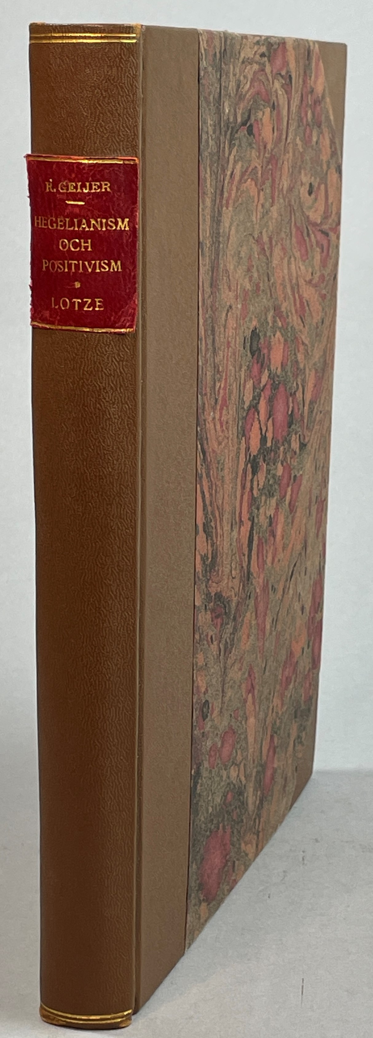 Hegelianism och positivism. Studier med anledning af prof. M.J. Monrads ‘Tankeretninger i den nyere Tid’ (Christiania 1874) och ‘Udsigt over den höiere Logik’ (Christiania 1881) m.fl. skrifter. + Hermann Lotzes tankar om tid och timlighet i kritisk belysning. Ett försök till det filosofiska tidsproblemets utredning.