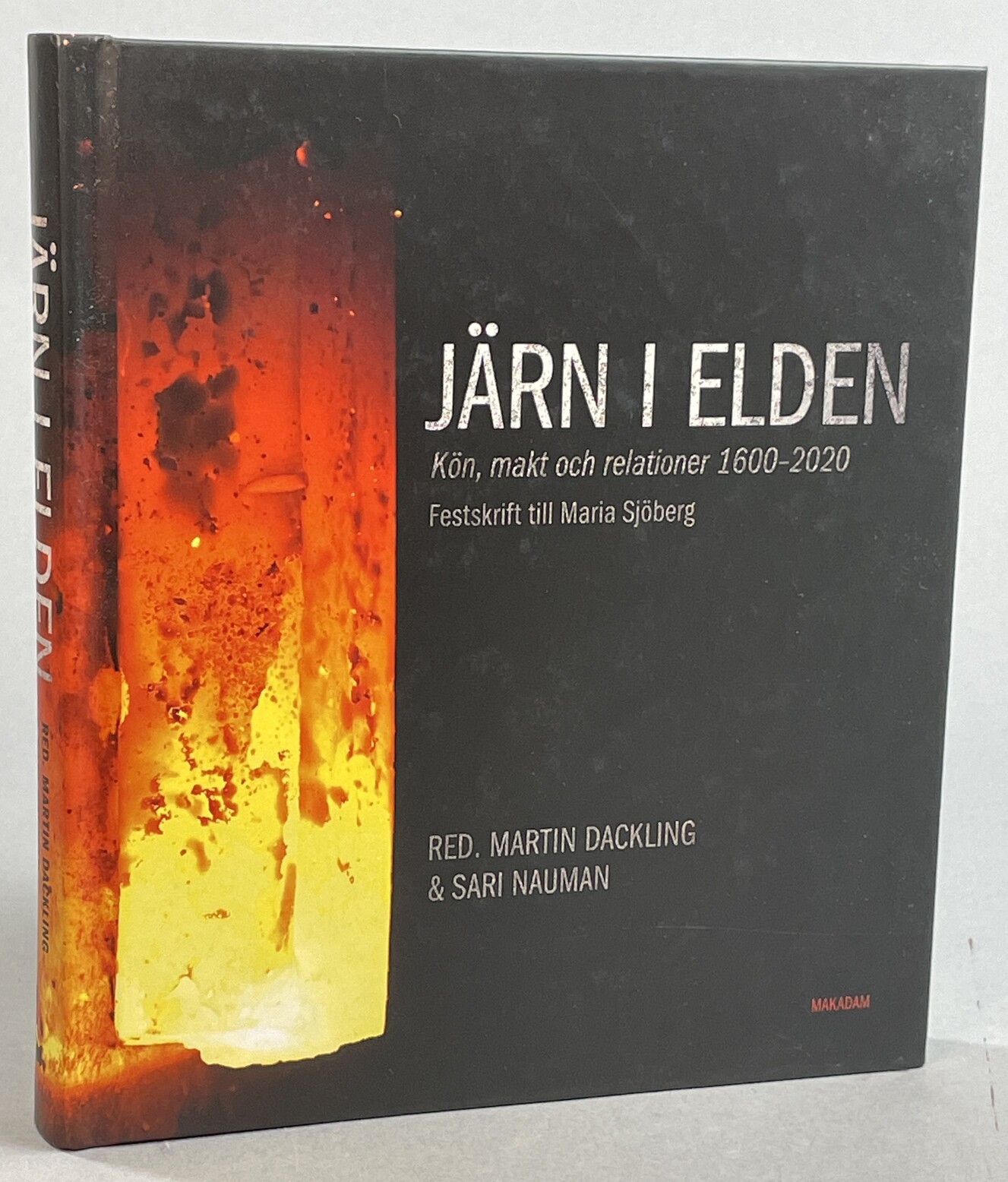 Järn i elden. Kön, makt och relationer 1600-2020. Festskrift till Maria Sjöberg. [Utg. av] Makadam.
