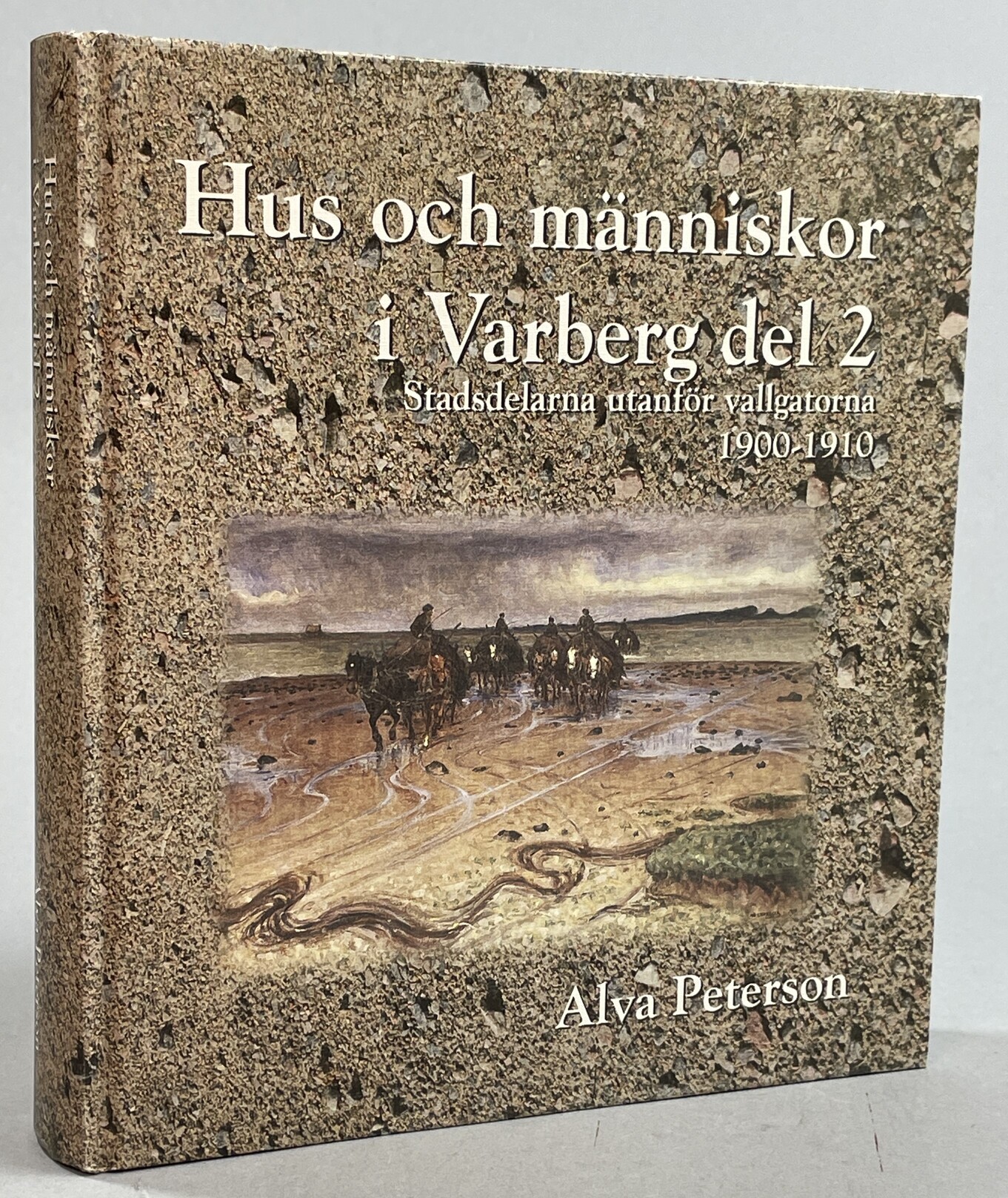 Hus och människor i Varberg del 2. Stadsdelarna utanför vallgatorna 1900-1910. [Utg. av] Hembygdsföreningen Gamla Varberg.