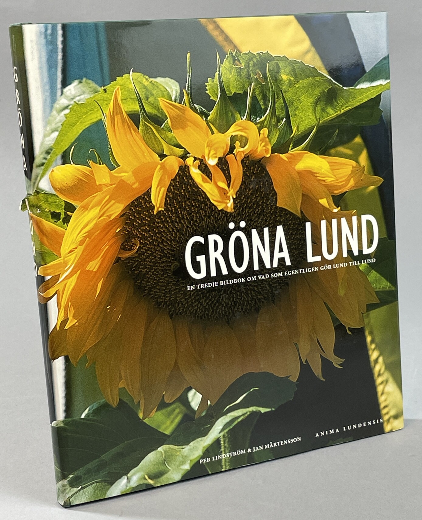 Gröna Lund. [En tredje bok om vad som egentligen gör Lund till Lund].
