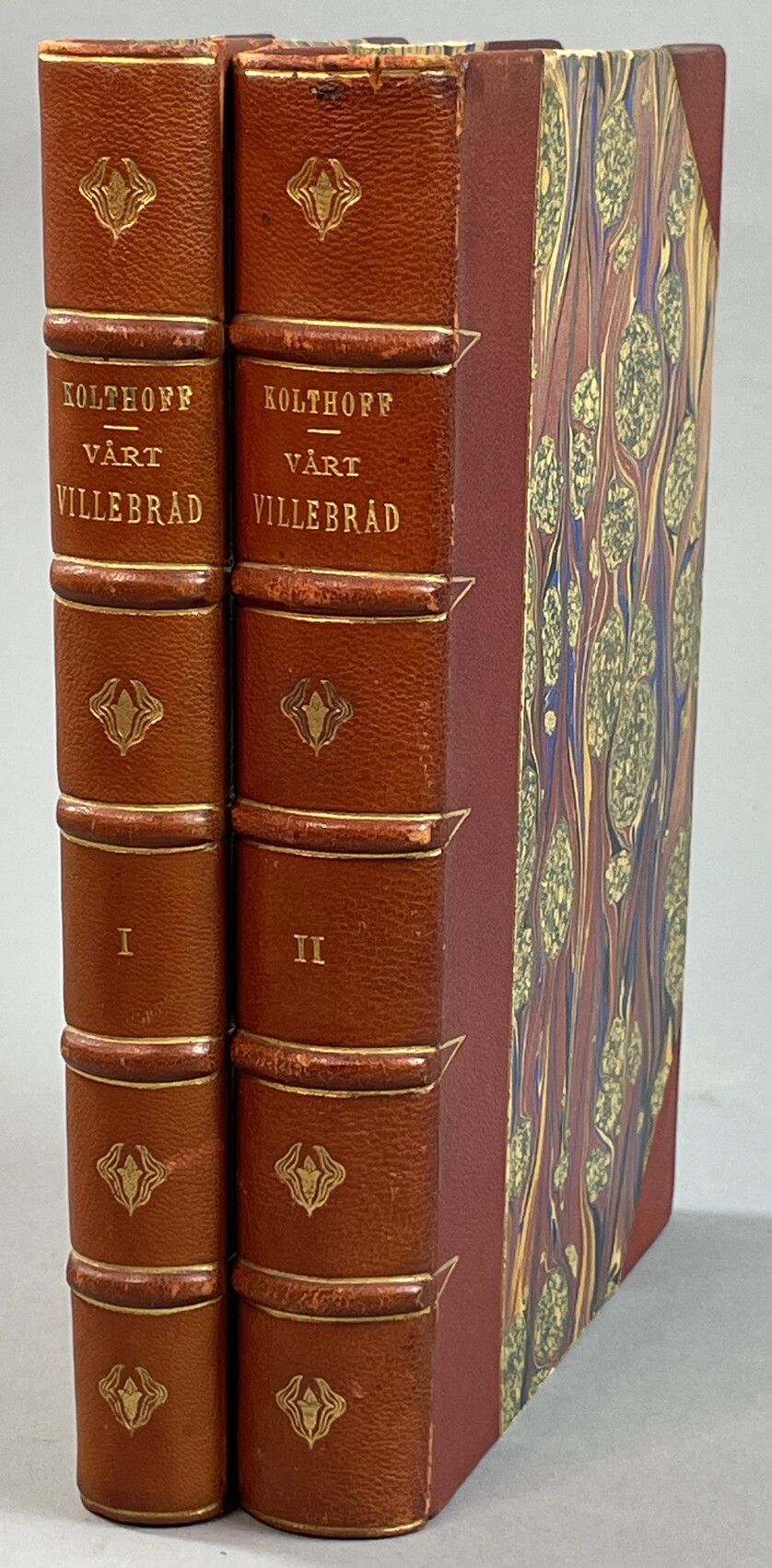 Vårt villebråd. Beskrifvet af jägare och fackmän. Med 26 illustrationer efter teckningar af Bruno Liljefors och afbildningar från Biologiska Muséet. Förra delen. [... Med 39 illustrationer ... Senare delen]. [Utg. av] Fr. Skoglunds förlag.