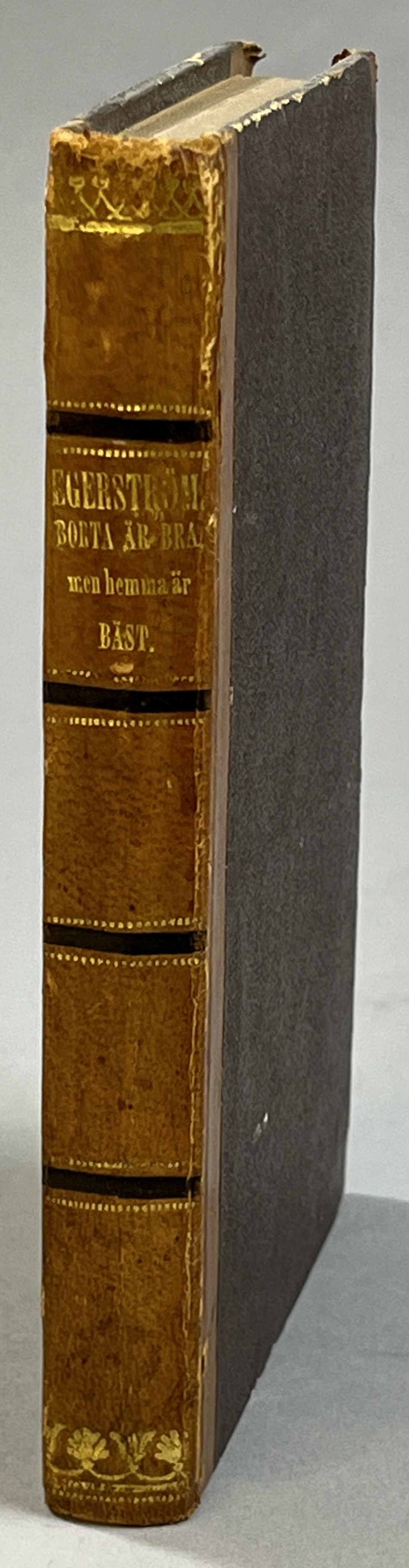 Borta är bra, men hemma är bäst. Berättelse om en färd till Ostindien, Nord-Amerika, Kalifornien, Sandwichs-öarna och Australien åren 1852-1857. Af C. Ax. Egerström. I sammandrag efter under resan förda anteckningar; jemte förf. autobiographi. [Utg. av] Albert Bonniers förlag.