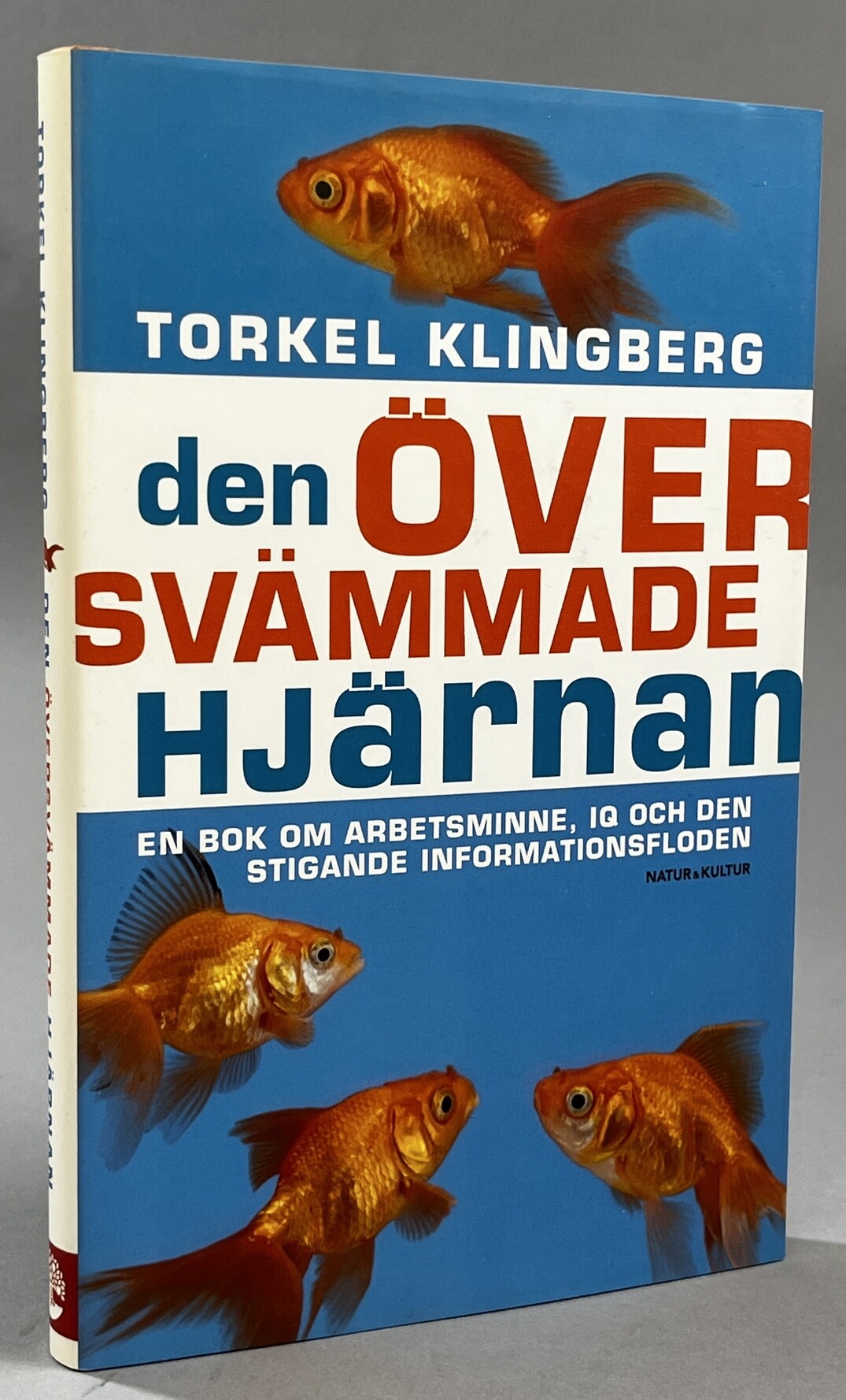 Den översvämmade hjärnan. En bok om arbetsminne, IQ och den stigande informationsfloden. [Utg. av] Natur & Kultur.