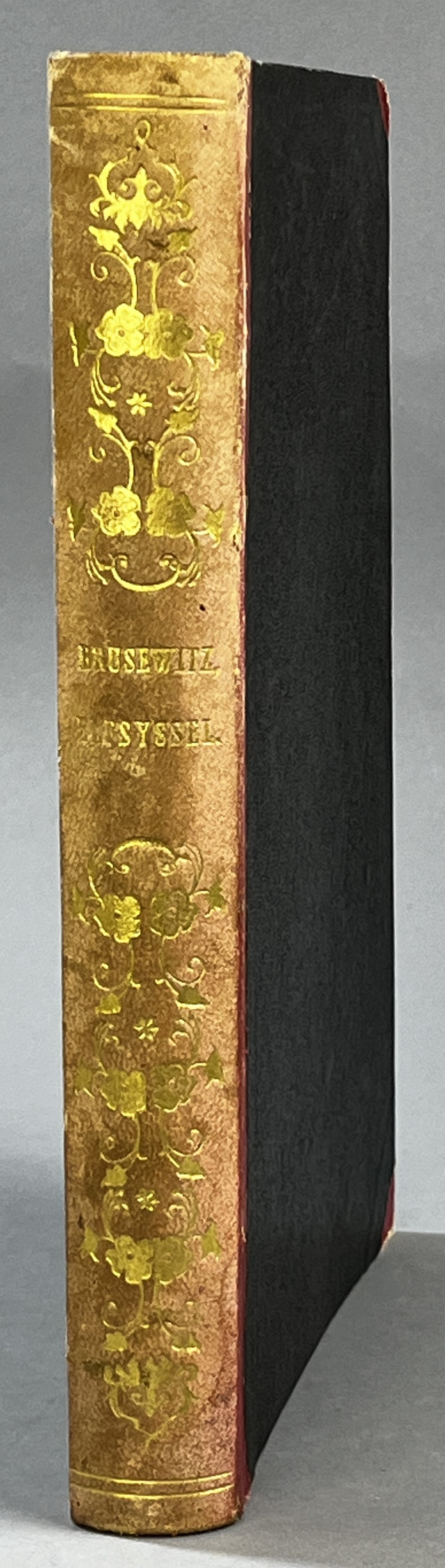 Elfsyssel (Södra Bohus-län). Historiska minnen, samlade ur så väl äldre som nyare verk och urkunder. Med afbildningar af de märkvärdigaste fornlemningar, historiska ställen m. m. af G. Brusewitz.