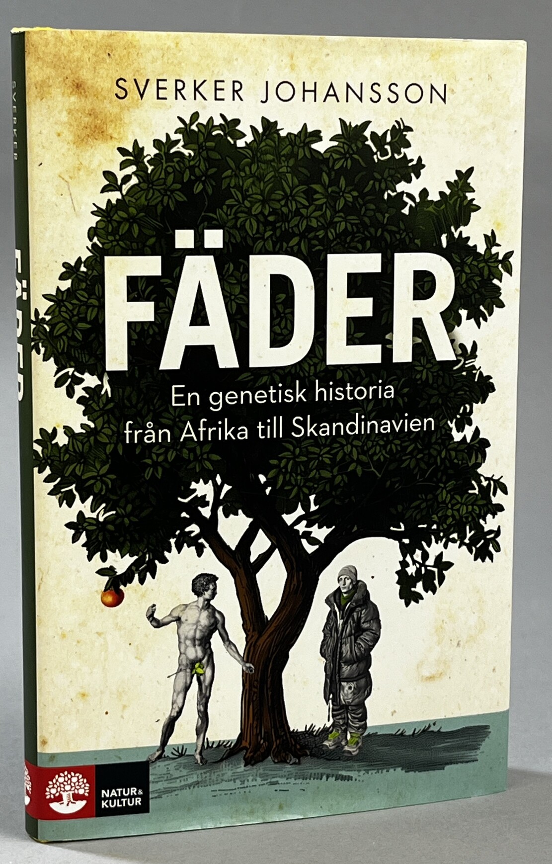 Fäder. En genetisk historia från Afrika till Skandinavien. [Utg. av] Natur & Kultur.