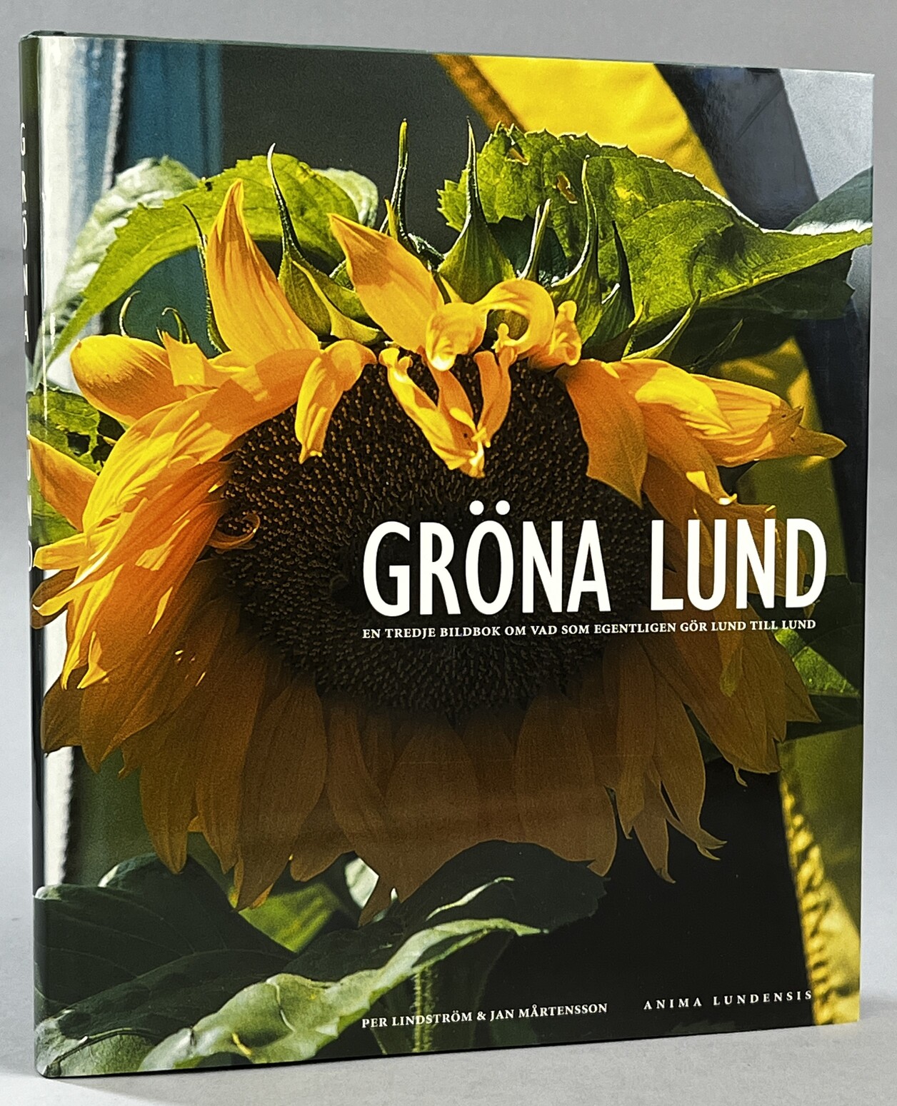 Gröna Lund. [En tredje bok om vad som egentligen gör Lund till Lund].