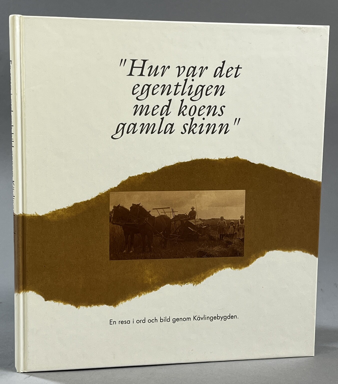 ‘Hur var det egentligen med koens gamla skinn?’ En resa i ord och bild genom Kävlingebygden [= pärmtitel].