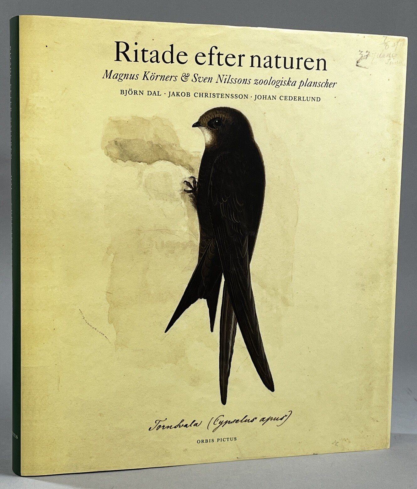 Ritade efter naturen. Magnus Körners & Sven Nilssons zoologiska planscher. [Utg. av] Orbis pictus.