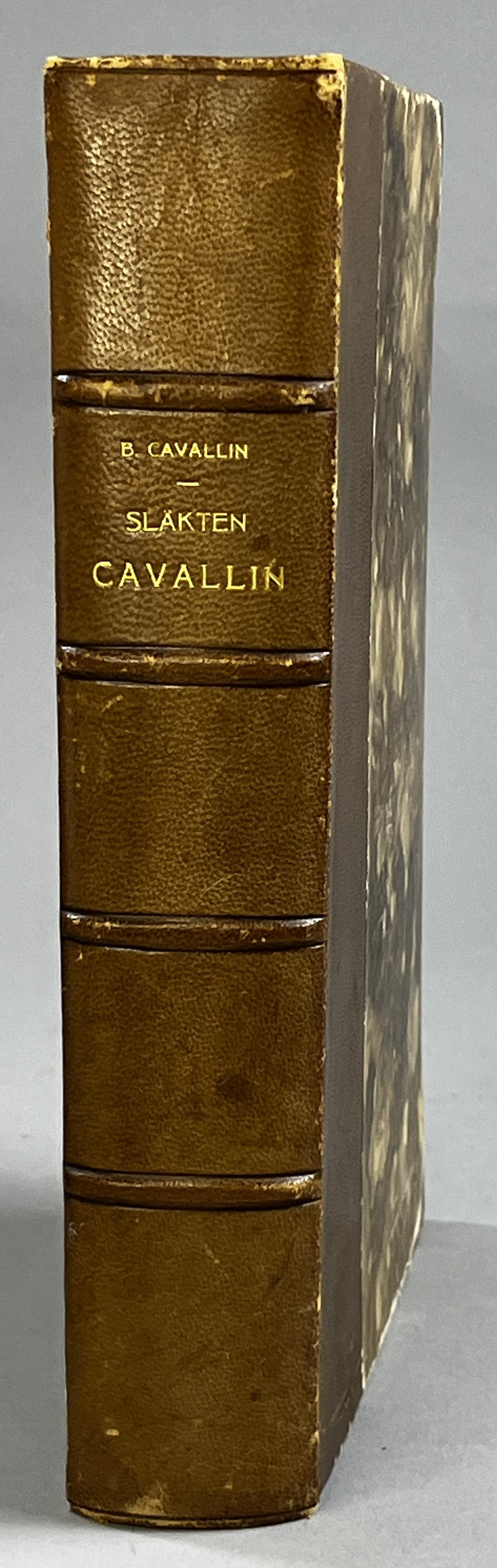 Släkten Cavallin från Håldala af B. Cavallin.